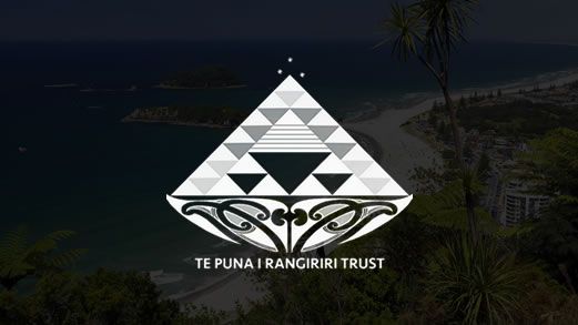 Te Puna i Rangiriri Trust